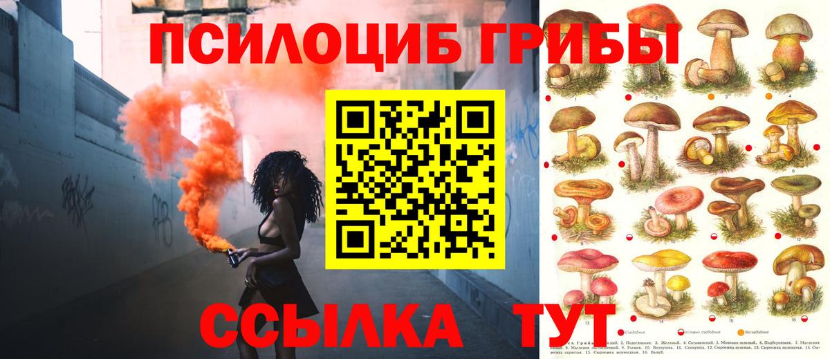 Галлюциногенные грибы Cubensis  Псилоцибиновые грибы Cubensis  Грязи  купить  сайты  Вход с VPN 